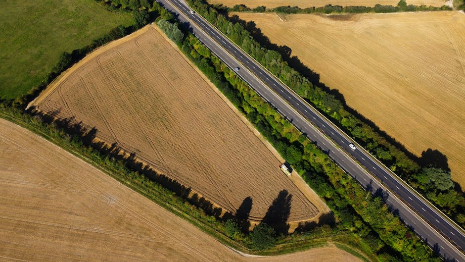 Landscape view of a local green setting