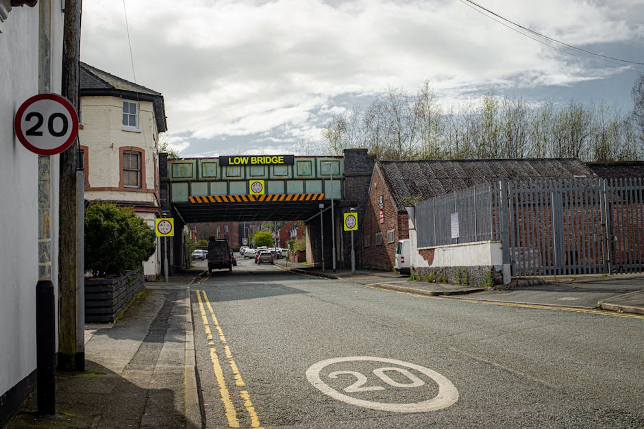 A calm green local landscape connected to community stewardship